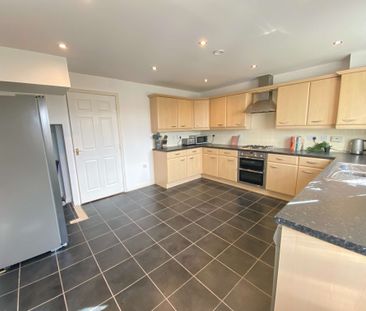 Large rooms - All ensuite - Small Household Room 4 - Photo 1