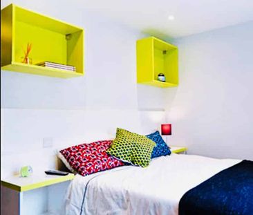 Executive Plus Studio - Photo 6