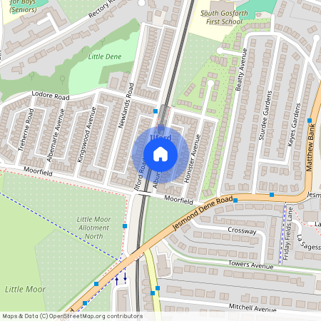 Albury Road, High West Jesmond