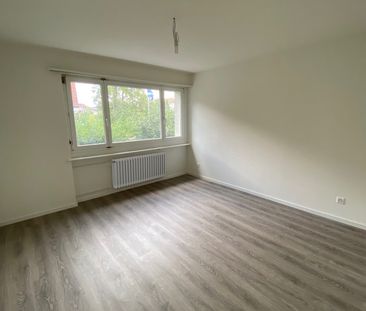 Neu renovierte 3-Zimmer-Wohnung in ruhigem Quartier - Photo 2