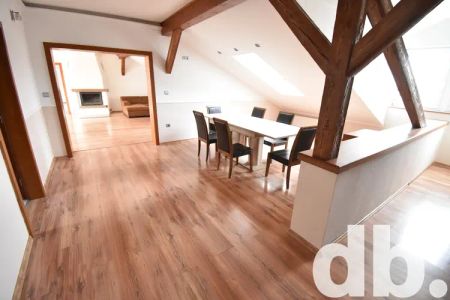 Pronájem byty 4+kk, 240 m - Fotografie 5