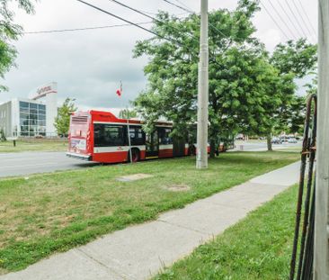 For Lease - 103 Spring Forest Square Unit# BSMT, Toronto, Ontario - Photo 2