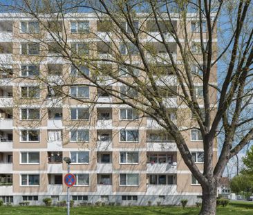 Demnächst frei! 3-Zimmer-Wohnung in Göttingen Grone-Nord - Photo 6