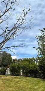 Heart of Kamo - Photo 3