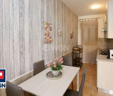 Mieszkanie na wynajem LU BAGNU - APARTAMENT DO WYNAJĘCIA - Photo 5