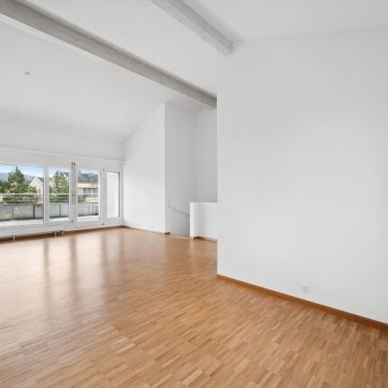 Spacieux appartement en duplex dans le célèbre Sonnenpark - Foto 1