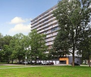 Elviraland 0ong, 2591 GE Den Haag, Nederland - Foto 5