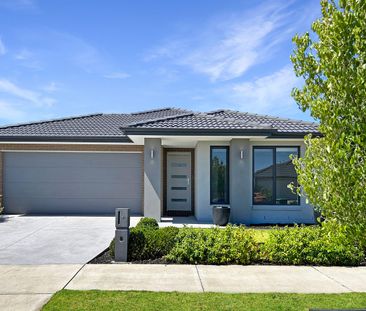 Sure to Impress! - Photo 5