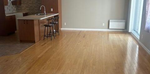 Très grand condo 3½ lumineux + salle de lavage séparée (Beauport) - Photo 2