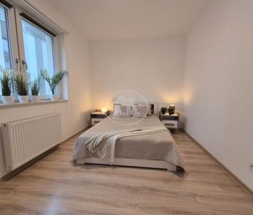 Garaż, Garderoba, 3M, Kabaczkowa - Zdjęcie 3