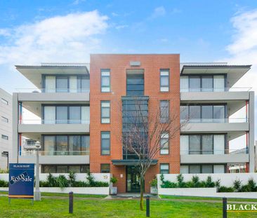 Luxurious Apartment Living - Photo 1