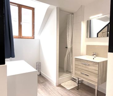 Location Appartement 1 pièce 17m² NANTES 44000 - Photo 2