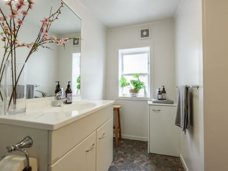 11 Devon Street, Aro Valley Wellington 6011 - Photo 3