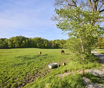 Moderne bofællesskab - for voksne uden hjemmeboende børn. - Photo 3