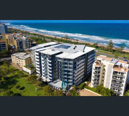 206/118 Alexandra Parade, Alexandra Headland, Qld 4572 - Photo 4
