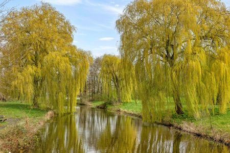 Appartement te huur: Prinses Ireneplateau 3 3554 HW Utrecht - Photo 4