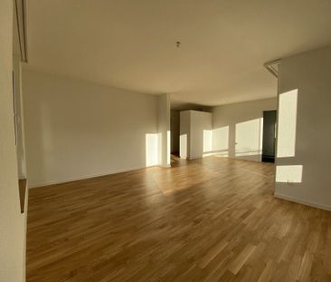 Mein neues Zuhause - Foto 4