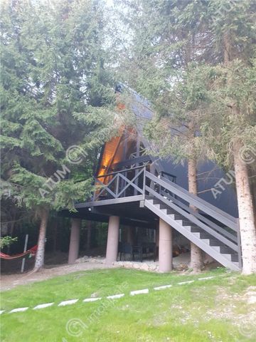 Casa tip A Frame de inchiriat in Avrig zona Valea Avrigului - Fotografie 4