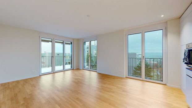 3.5 Zimmer, 76 m² - Photo 1