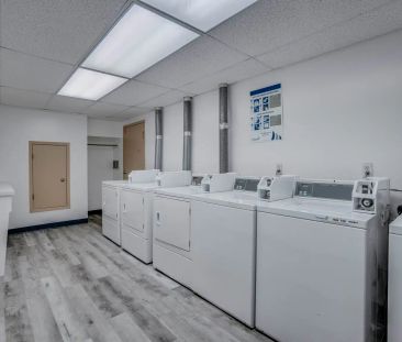 Danton Manor — 1 Bedroom (Basement) - Photo 3