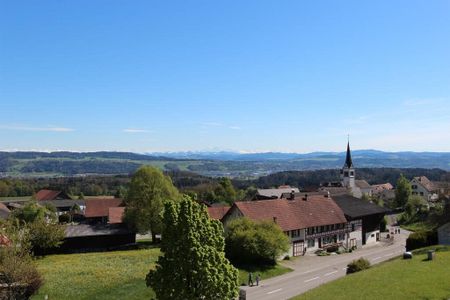 Terrassenwohnung in Herdern - Foto 4