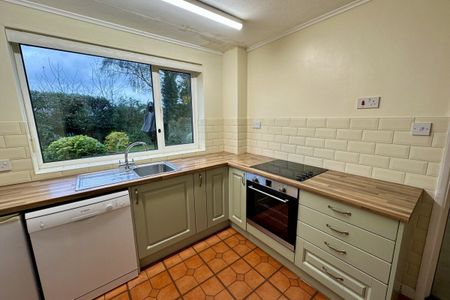 Ferry Lane, West Row, BURY ST. EDMUNDS - Photo 5