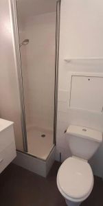 Location Appartement 1 pièce 22m² TOURS 37000 - Photo 4