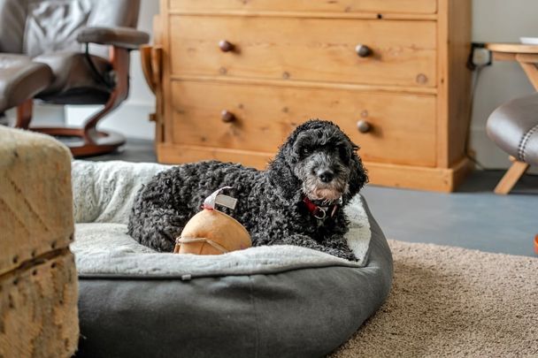 3 bedroom house to rent - Photo 1