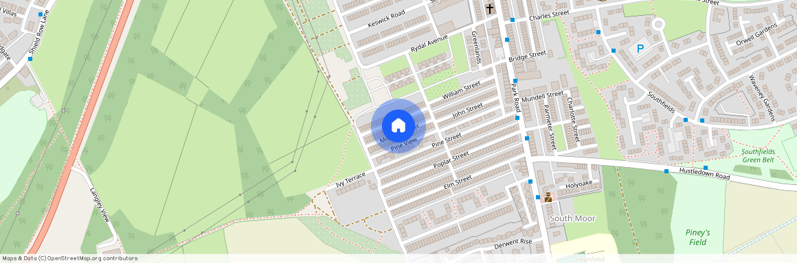 Mitchell Street, South Moor, Stanley, County Durham, DH9