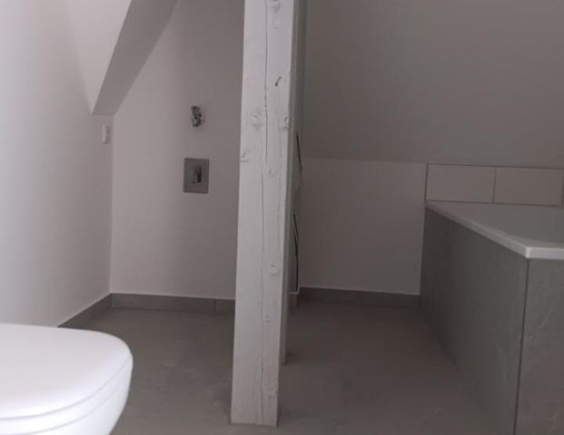 Charmante individuelle neu sanierte 2,5 Zimmer Wohnung mit großer Wohnküche/2 Bäder Du+BW/Dachterrasse! #DD83 - Foto 1