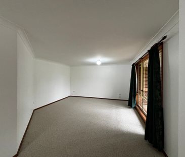 Peaceful Peachtree - Photo 2