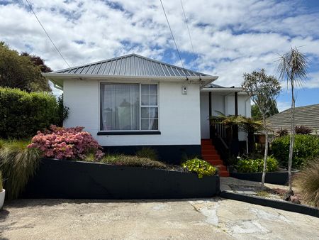 Sunny, Spacious & Ready for You to Move In - Photo 2