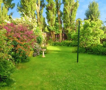 Beautiful 3 bed semi-detached house with large south facing garden ... - Photo 3