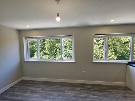 2 bedroom penthouse to rent - Photo 1