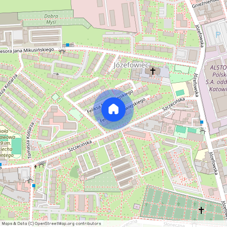 ul. Feliksa Nowowiejskiego, Wełnowiec-Józefowiec, Katowice, śląskie