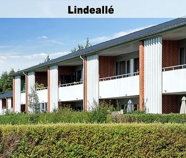 Linde Haven m.fl. 164-0 - Foto 6