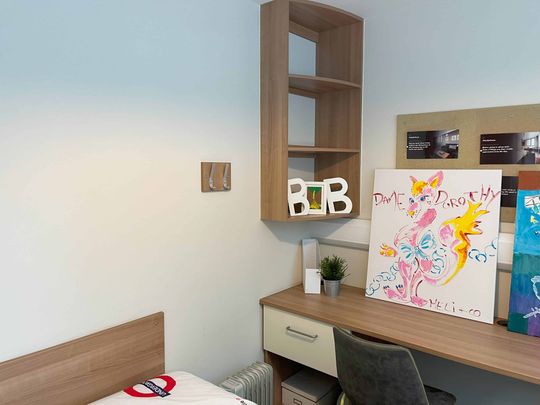 Large Standard Double Ensuite: Three Bed Flat - Photo 1