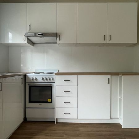 Neat and Tidy Apartment in Convenient Kogarah Location - Photo 3