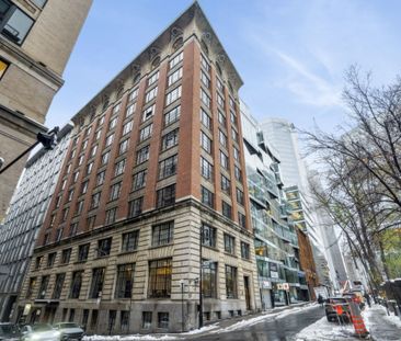 Appartement à louer - Montréal (Ville-Marie) (Centre Ouest) - Photo 5