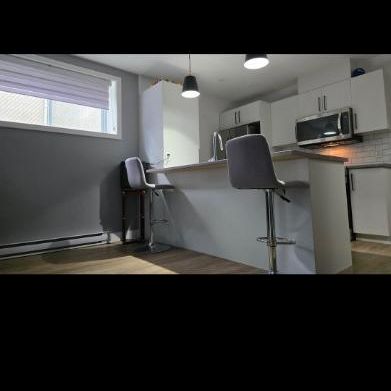 Logement 3 1/2 a louer deux montagne - Photo 3
