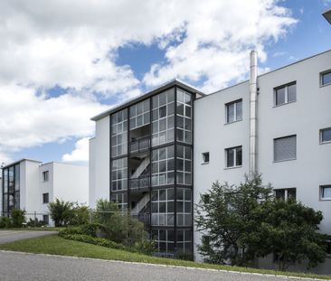 Modern living oasis in quiet neighborhood – Next tenant:in sought a... - Foto 5