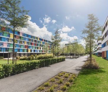 3 ½ Zimmer-Wohnung in Schwerzenbach mieten - Foto 6