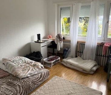 2 Zimmer, 39 m², Untergeschoss - Foto 2