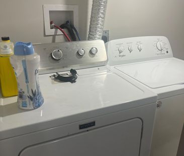 For Lease - 161 Tiller Trail Unit# Basement, Brampton, Ontario - Photo 6