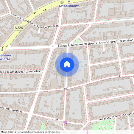 Avenue J.G. Van Goolen, 1200, Woluwe-Saint-Lambert