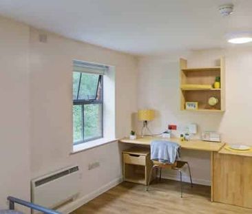 Gold Studio - Photo 6