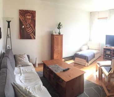 1 mois gratuit - Magnifique 4 1/2 au 1er étage - Photo 2