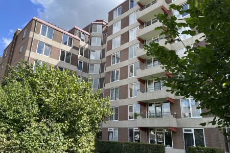 Chambre Haarweg 151, Wageningen – À Louer - Foto 4