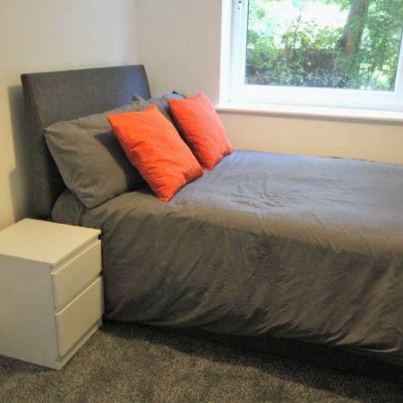 2 Bedroom Apartment - Photo 3