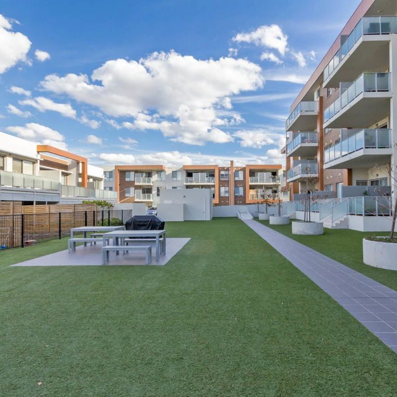 149/2 Windjana Street, Harrison - Photo 1